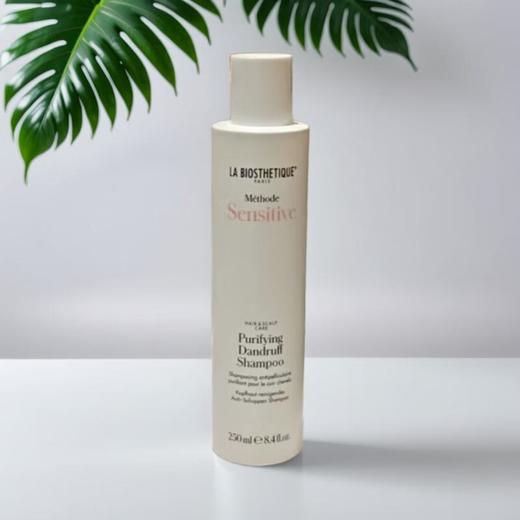 贝伊丝净化去屑洗发露 250ml/瓶 商品图0
