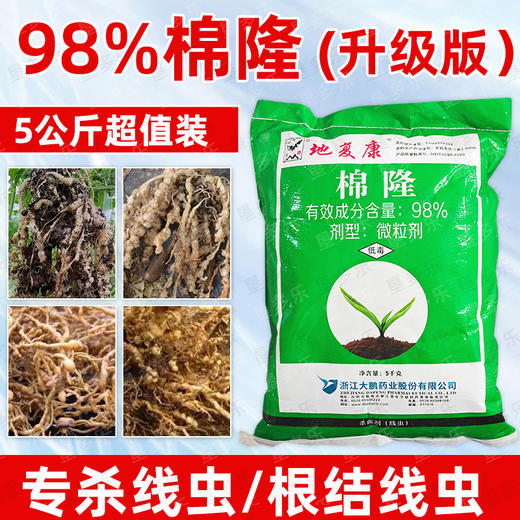 98%棉隆土壤消毒剂大鹏地复康大棚闷棚剂番茄生姜草莓根结线虫 商品图4