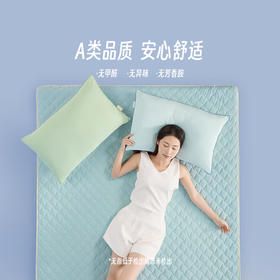 LOVO乐蜗XS 夏日冰果大豆抗菌可水洗床护垫-床笠款