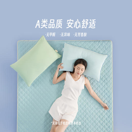 LOVO乐蜗XS 夏日冰果大豆抗菌可水洗床护垫-床笠款 商品图0