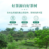 象窝甘醇云腴罐 |舌藏岭南春，种植过程不使用化学农药，农药残留不得检出【清明期间正常发货】 商品缩略图1