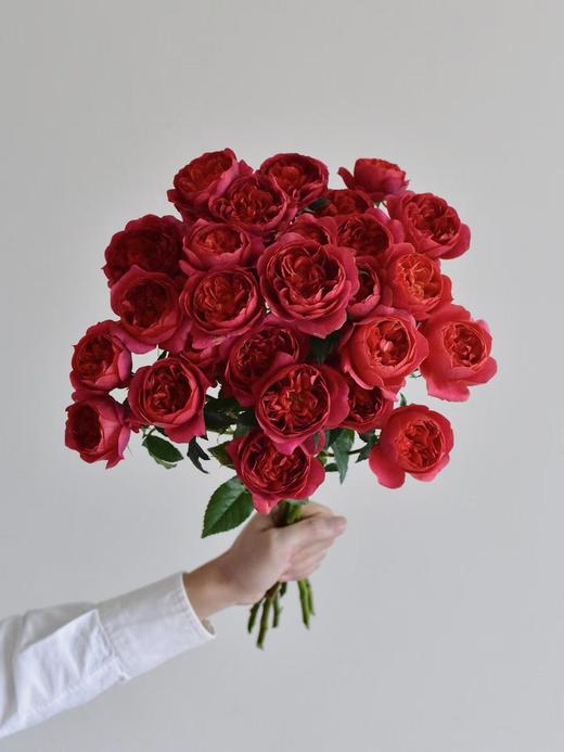 果汁系列多头玫瑰【不是夏日限定，是来日方长】简小姐精选新品 果汁多头玫瑰 10枝 2件包邮 顺丰空运直发 商品图1