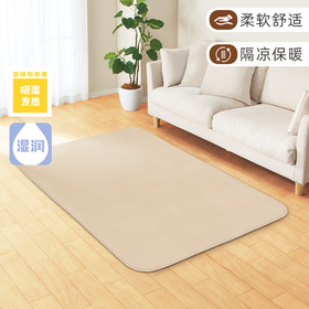  客厅地毯沙发卧室床边毯简约吸湿发热地毯
