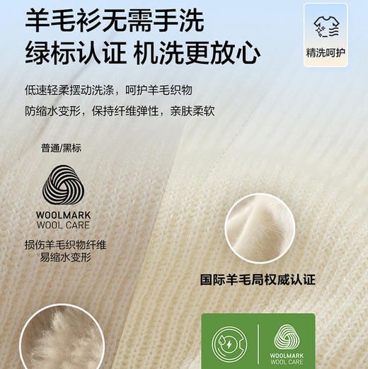 海尔（Haier）洗衣机 XQG100-BSEG78A9U1 商品图10