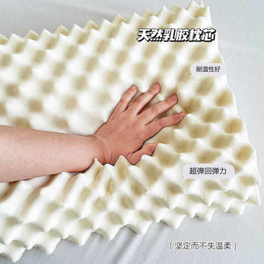 【泰国原产百分百乳胶枕】天然乳胶！防螨抑菌透气排湿乳胶枕 商品图7