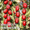 和田灰枣 500g*2 商品缩略图2