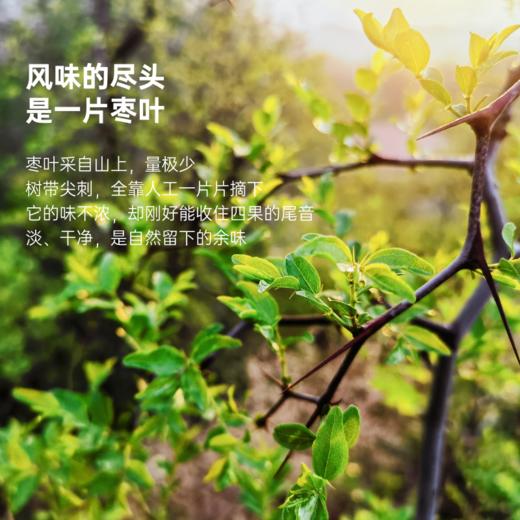 醋轻盈280ML【单瓶】 商品图3