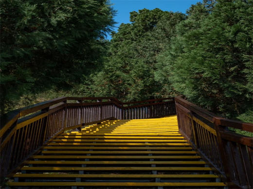 【雁栖湖环湖1日】晚出发·邂逅湖光山色-闯入京郊小瑞士-休闲徒步8-10公里 商品图2