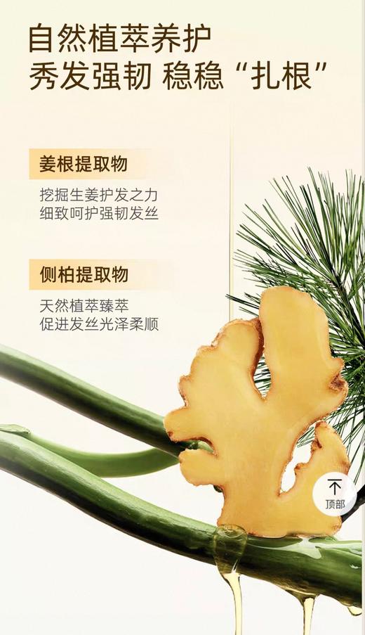 澳洲ficceCode菲诗寇生姜洗发水450ml 商品图3