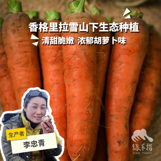 生态胡萝卜（云南，韵达） | 合作生产*Eco carrot | Partner Production 商品图0