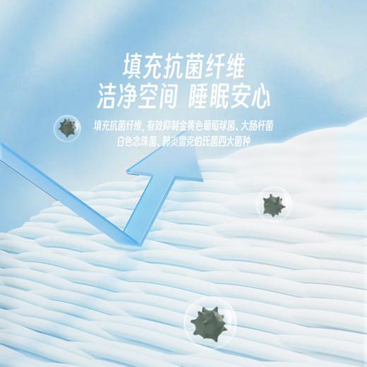 LOVO乐蜗XS 夏日冰果大豆抗菌可水洗床护垫-床笠款 商品图2