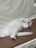 电子卡券退款设置 商品缩略图0
