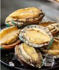 海予你熟冻大鲍鱼 商品缩略图1
