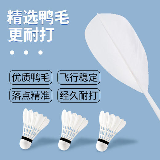 真的很耐打！【飞行稳定，休闲娱乐，高性价比！】羽毛球初级练习 娱乐训练球 成人学生业余羽毛球 天然优质 精选鸭毛 尽情玩耍-QB 商品图3