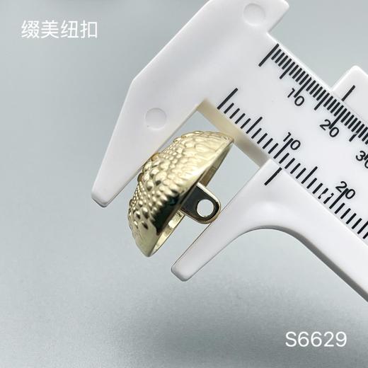 S6629(整包购买) 商品图4