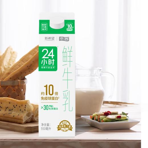 新希望 巴氏杀菌 24小时 鲜牛奶 950ml（盒） 商品图5