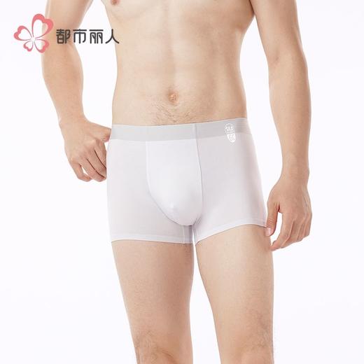 都市丽人男士内裤桑蚕丝混纺内裤贴合内裤平角内裤男内裤FKHH16 商品图1