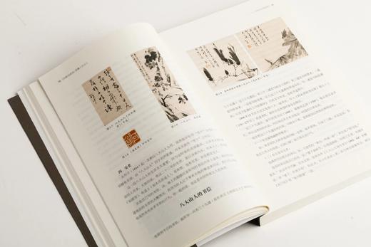 《白眼与诳语：读懂八大山人》（美）王方宇 著    朱良志 编 商品图7