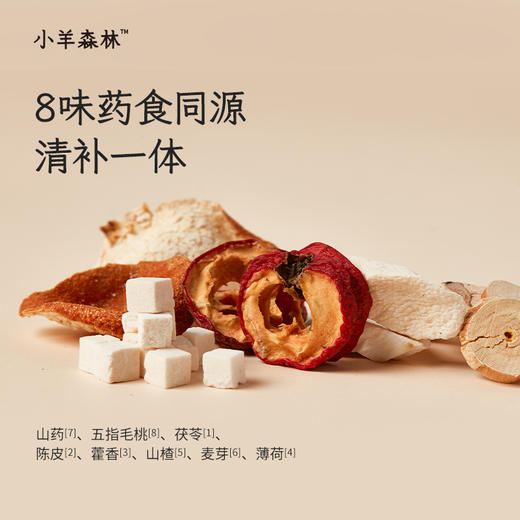 【赠品，勿下单】「古方四神饮 小盒」脾胃升级 免煮直饮 酸甜果蔬味 商品图1