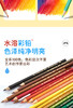 德国辉柏嘉36色48色水溶性彩铅初学者绘画专用成人绘画彩铅 商品缩略图5