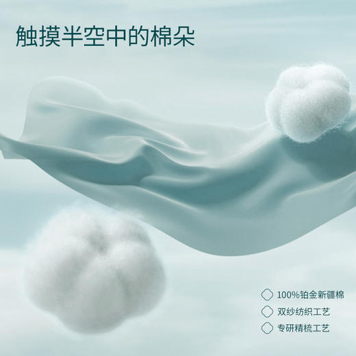 【国色雅韵】洁丽雅国色7A抑菌弦纹款纯棉毛巾组合家用吸水加厚舒适#甜博会 商品图4