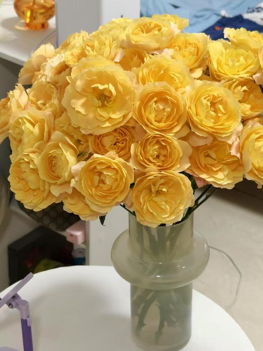 果汁系列多头玫瑰【不是夏日限定，是来日方长】简小姐精选新品 果汁多头玫瑰 10枝 2件包邮 顺丰空运直发 商品图4