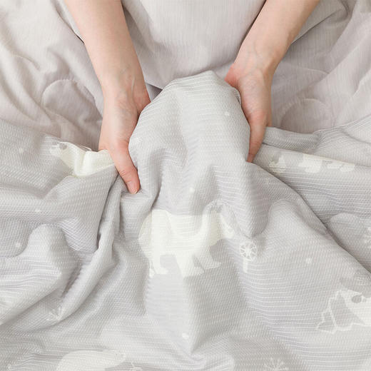 夏天凉感A类抗菌空调被薄被枕垫床垫冷感S2503 白熊 商品图2