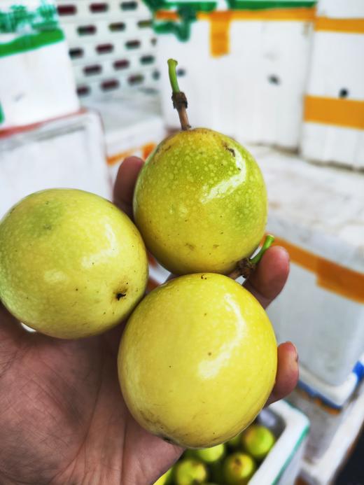 【39.9元团30个】钦蜜9号黄金百香果 直接吃都很甜，放皱后更好吃 商品图6