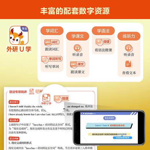 英语(新标准)精讲精练智慧版(初中) 商品图13