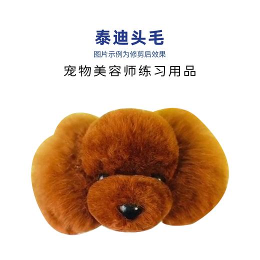 TAA它它泰迪头毛 商品图0