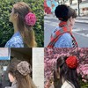 丁摩 玫瑰花抓夹抓夹颜色多玫瑰花朵抓夹5ZF-00021 商品缩略图1