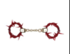 【荆棘束缚】轻喃 SM荆棘系列手铐/口球/手环/牵引链 商品缩略图3