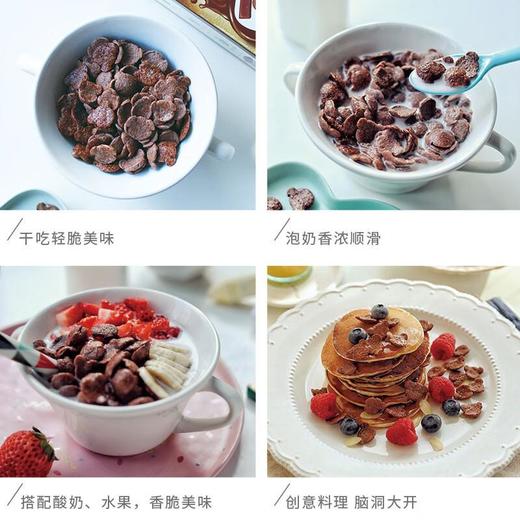 雀巢可可味滋滋谷物早餐330g 商品图5