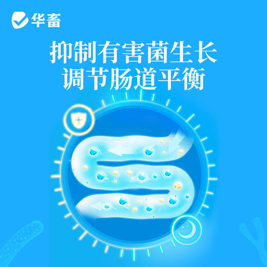 【社群专享】华畜真脱净600g 脱霉净复合酶降解多种毒素不破坏饲料营养 孕畜可用可兑水 商品图6