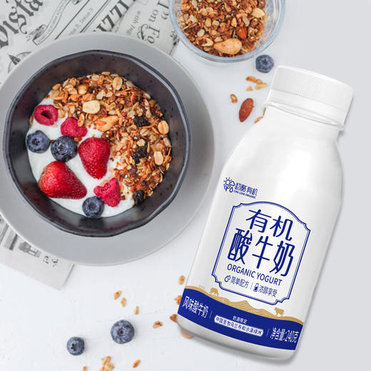 初酪低温有机酸牛奶 内蒙原味风味发酵乳240g*8瓶 商品图1