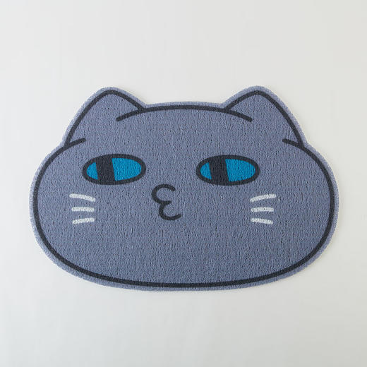  进门口家用入户门垫室内室外PVC耐磨卡通地垫 商品图0