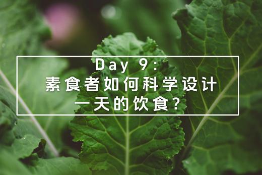 Day 9：素食者如何科学设计一天的饮食？ 商品图0