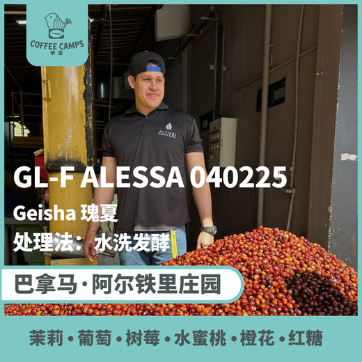 25产季 巴拿马 阿尔铁里 Altieri Specialty Coffee GL-F ALESSA 040225 瑰夏 水洗发酵 （生豆）空运批次 商品图0