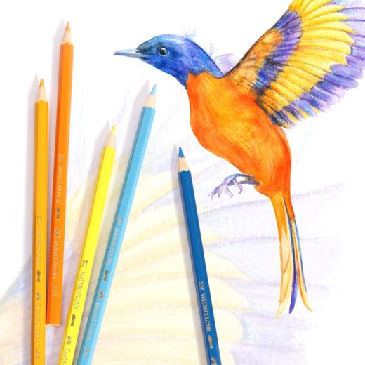 德国辉柏嘉36色48色水溶性彩铅初学者绘画专用成人绘画彩铅 商品图1