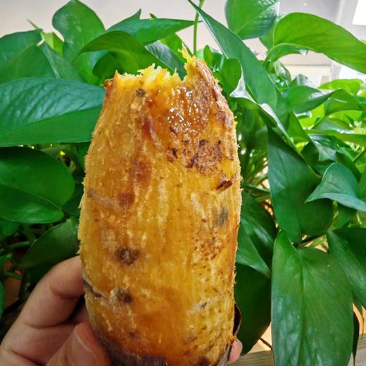 云南丝滑榴莲蜜薯（及时签收，到货就从箱子里拿出来，阴凉处摊晾放置） 商品图9