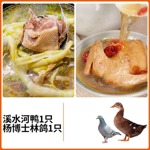 【杨博士自营 秋日进补】1只鸽子+溪水河鸭1只 商品图1