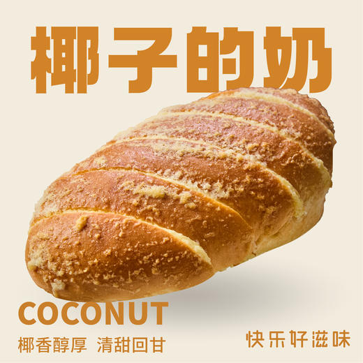 椰子的奶 商品图0