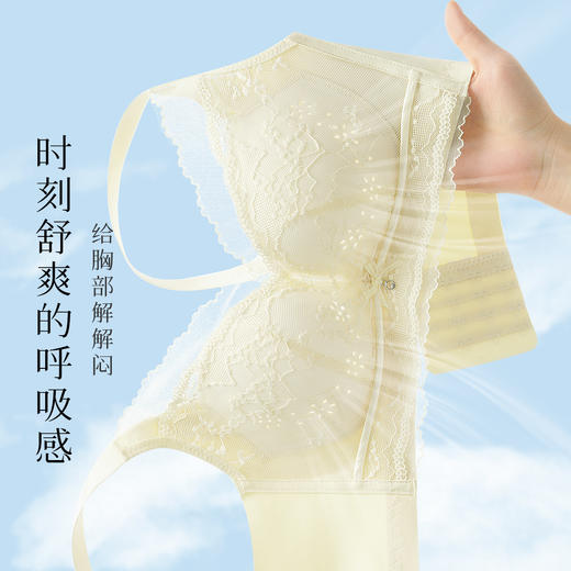 【轻薄透气洞洞杯】夏季内衣女舒适聚拢上托无钢圈高颜值性感文花谣浅月 商品图2