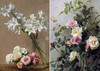【全新现货】 Fleurs: Coffret l'essentiel / 花卉：精选作品集 礼盒装 【法文原版】 商品缩略图3