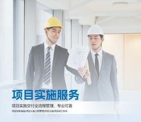 项目实施服务