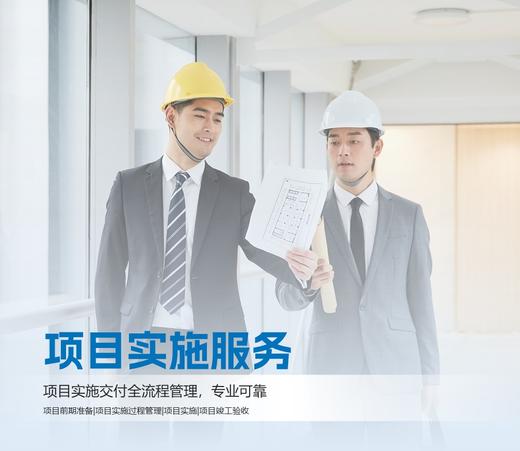 项目实施服务 商品图0