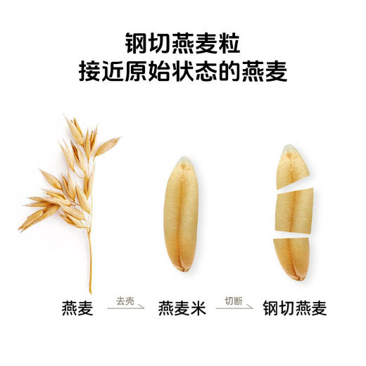 【坝优壹号】草牧里 钢切燕麦粒 900g/袋  健康粗粮营养丰富 商品图1