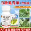 白粉虱专杀虫方案黄条跳甲杀虫杀卵农用杀虫剂呋虫胺联菊啶虫脒 商品缩略图0