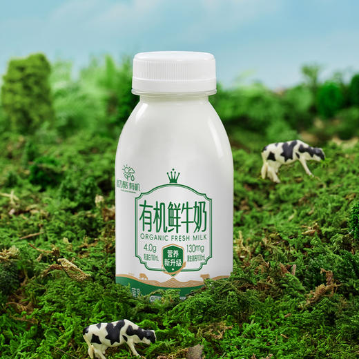 初酪有机鲜牛奶 内蒙古奶源顺丰冷链240g*8瓶 商品图5