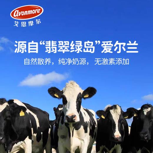 （乳脂含量35.5%）1L 艾恩摩尔稀奶油 动物性淡奶油 爱尔兰进口稀奶油 商品图1